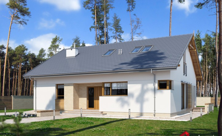 E-173 Mały dom z dachem dwuspadowym - wizualizacja